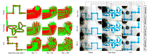 critical pedagogy and