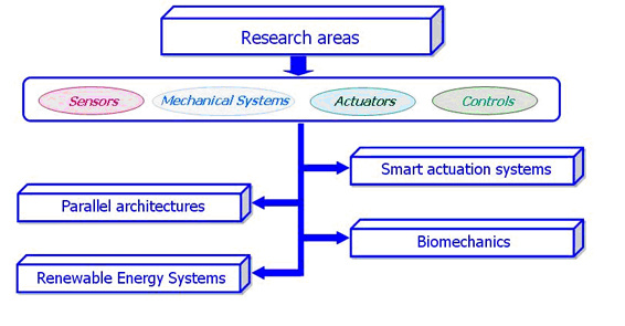 Research Areas
